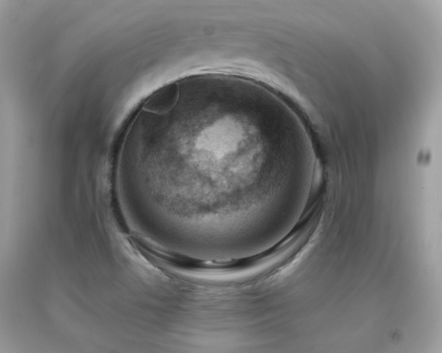 X0000091921506200709051429