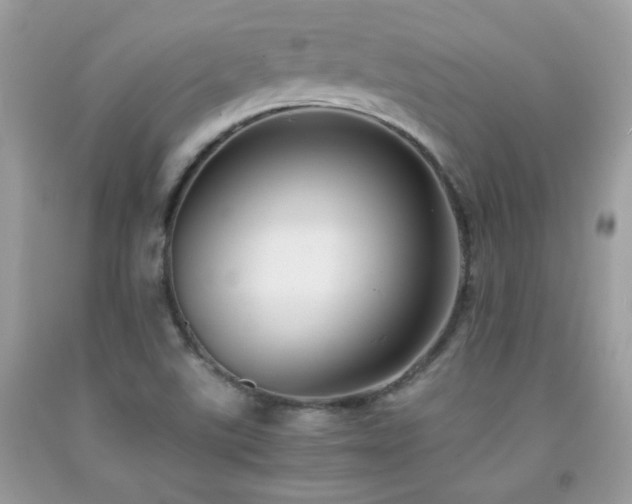 X0000091921507200709051429
