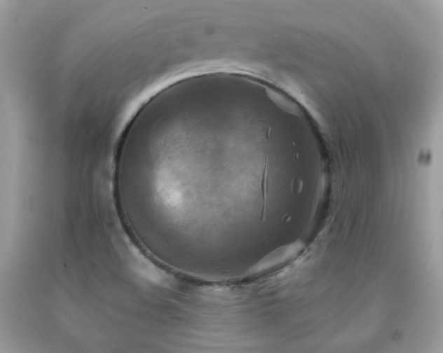 X0000091921508200709051429