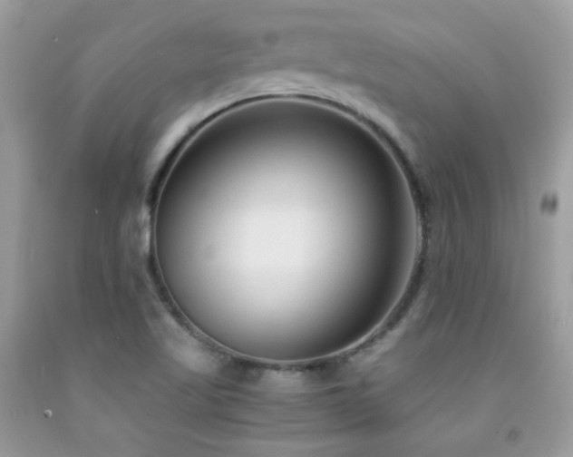 X0000091921509200709051429