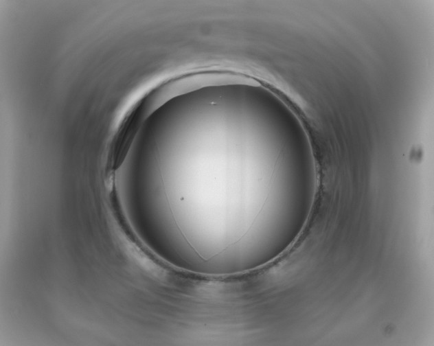 X0000091921510200709051429