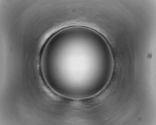 X0000091921511200709051429