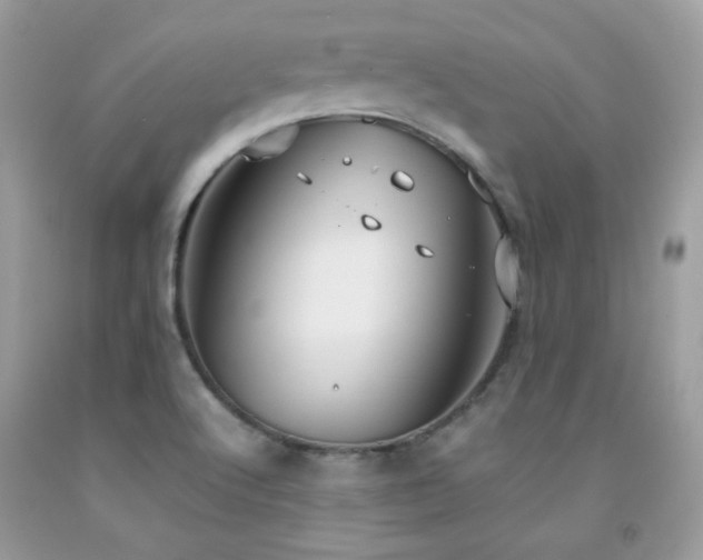 X0000091921512200709051429