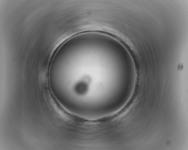 X0000091921513200709051429