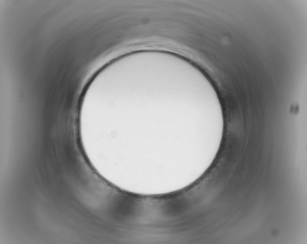 X0000091921514200709051429