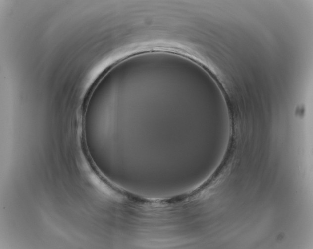 X0000091921515200709051429