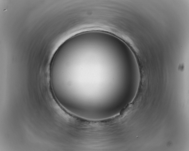 X0000091921516200709051429