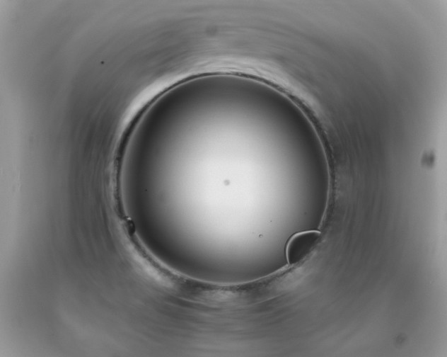 X0000091921517200709051429