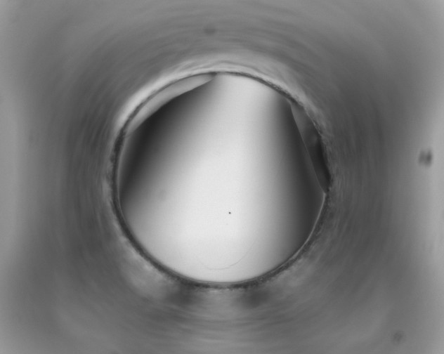 X0000091921518200709051429