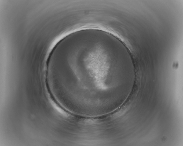 X0000091921519200709051429