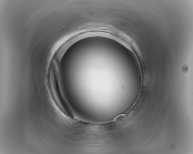 X0000091921520200709051429