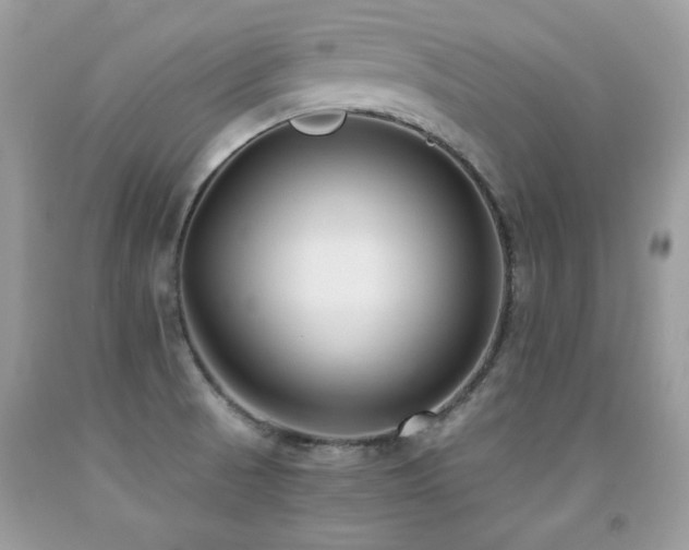 X0000091921521200709051429