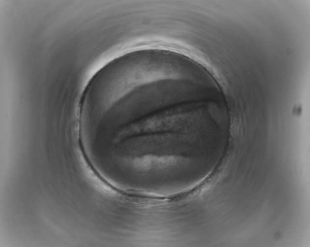 X0000091921522200709051429