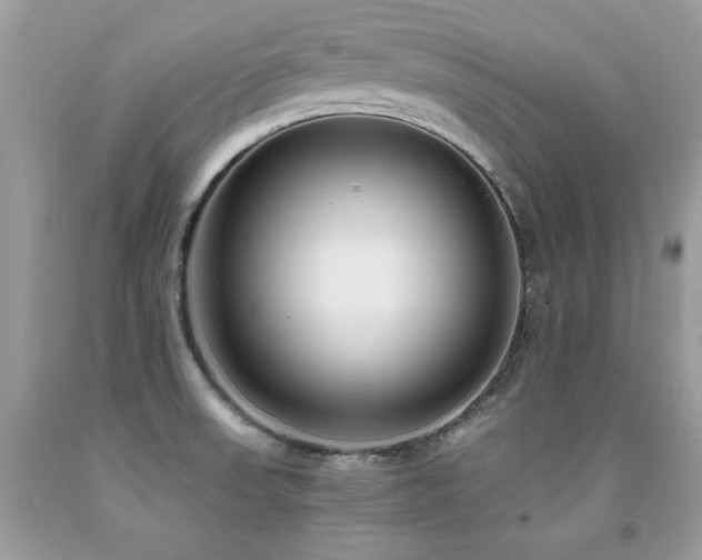X0000091921523200709051429