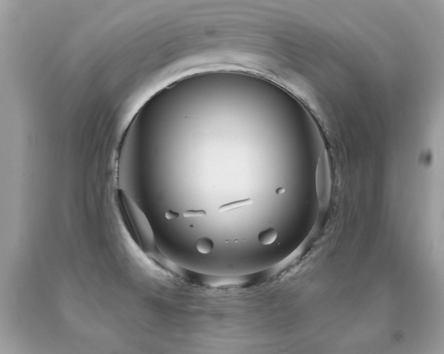X0000091921524200709051429