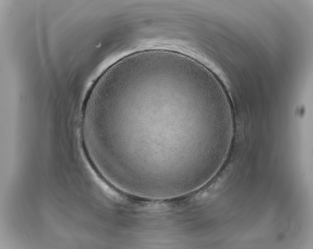 X0000091921525200709051429