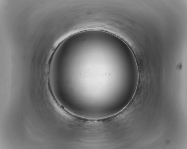 X0000091921526200709051429