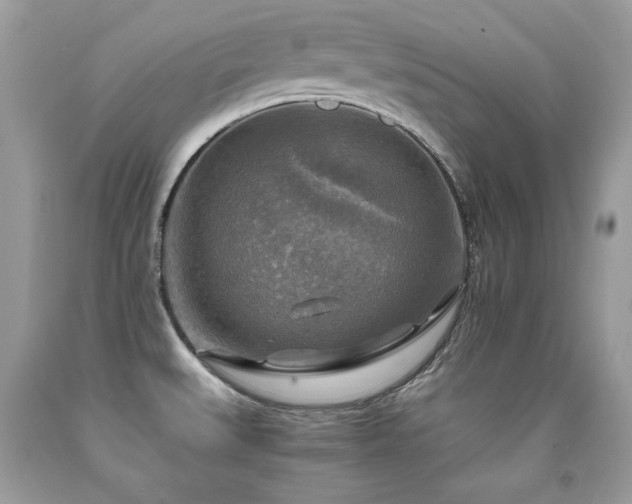 X0000091921527200709051429