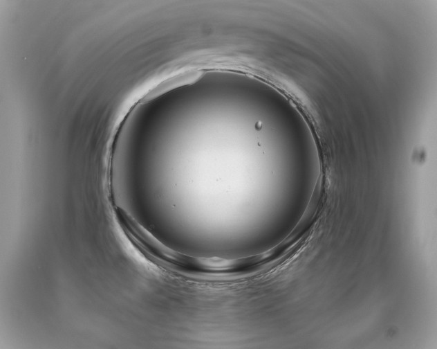X0000091921528200709051429