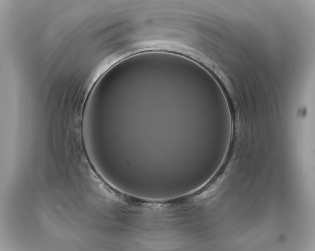 X0000091921529200709051429