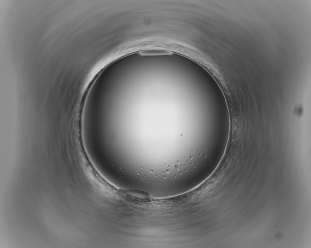 X0000091921530200709051429