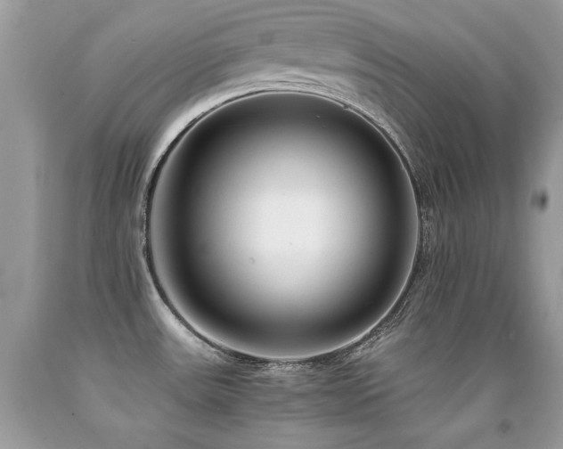 X0000091921531200709051429