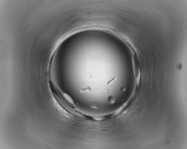X0000091921532200709051429