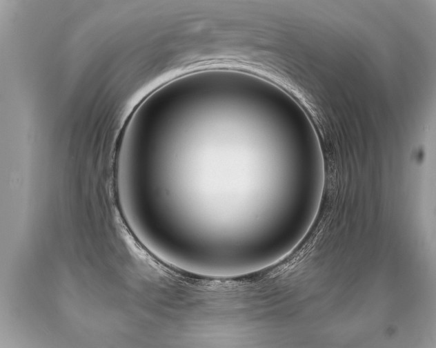 X0000091921534200709051429