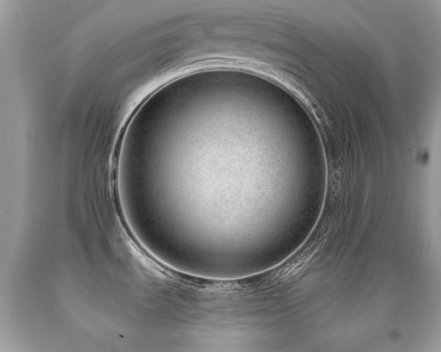 X0000091921535200709051429