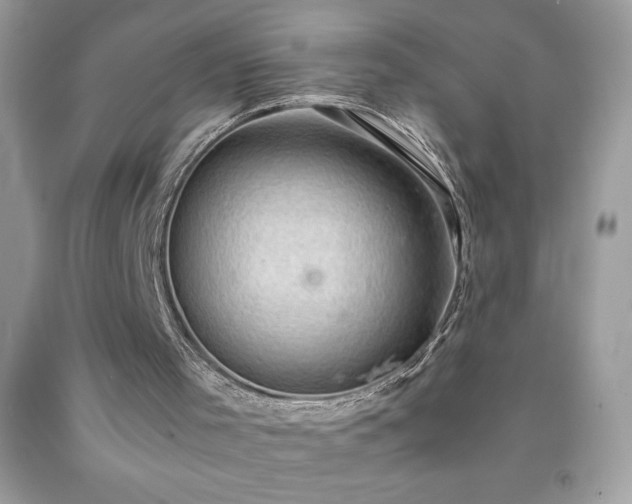 X0000091920001200709121548