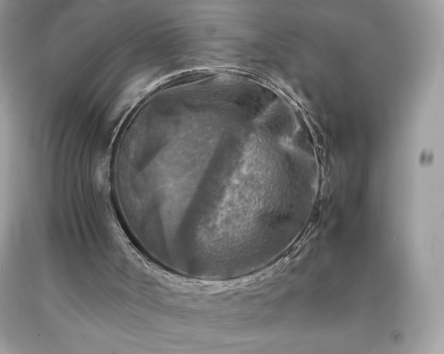 X0000091920002200709121548