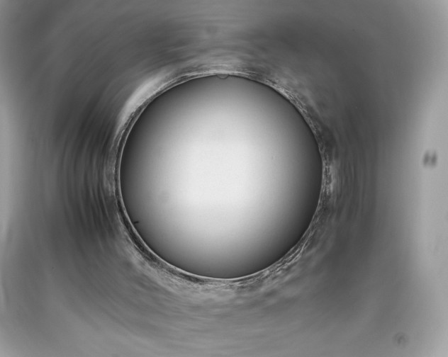 X0000091920004200709121548