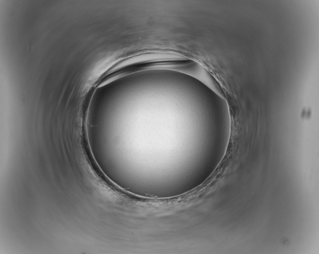 X0000091920005200709121548