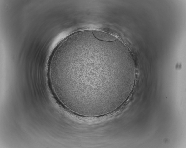 X0000091920006200709121548