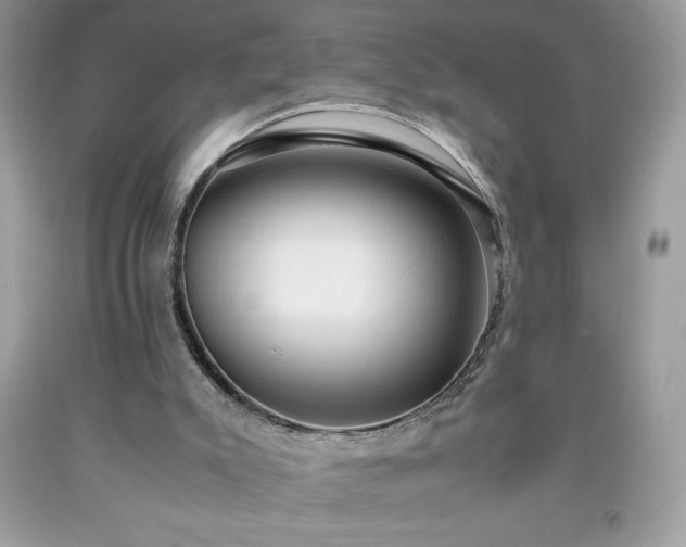 X0000091920007200709121548