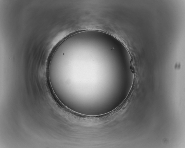 X0000091920008200709121548