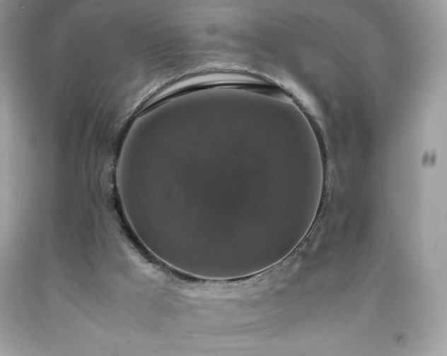 X0000091920009200709121548