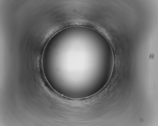 X0000091920010200709121548