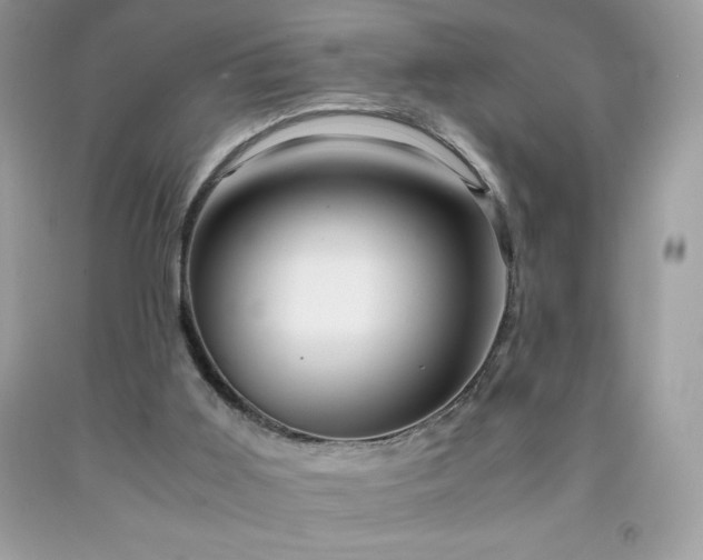 X0000091920011200709121548