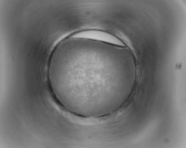 X0000091920012200709121548