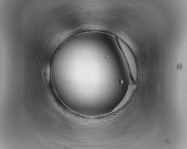 X0000091920014200709121548