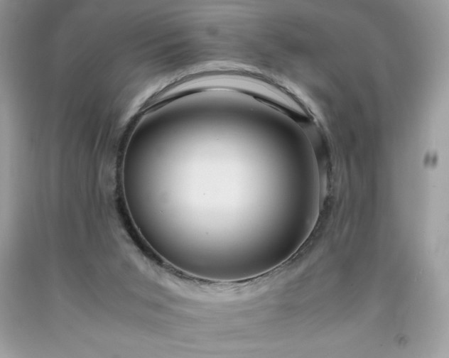 X0000091920015200709121548