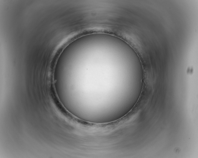 X0000091920016200709121548