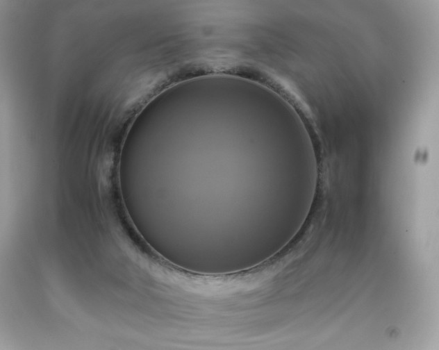 X0000091920018200709121548