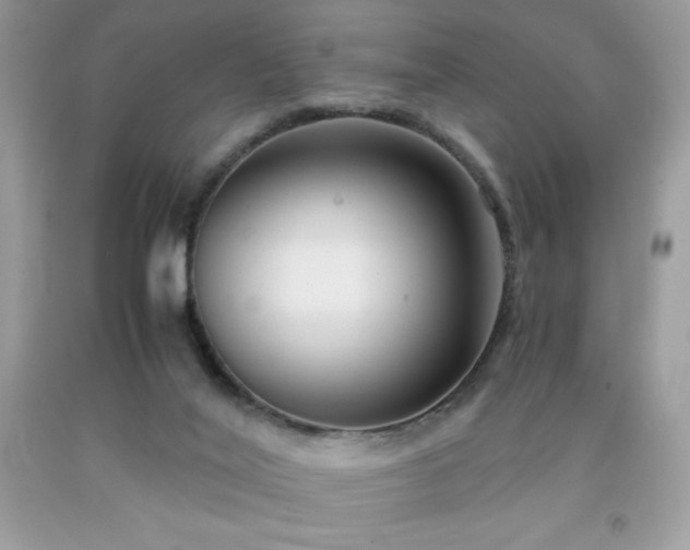 X0000091920020200709121548