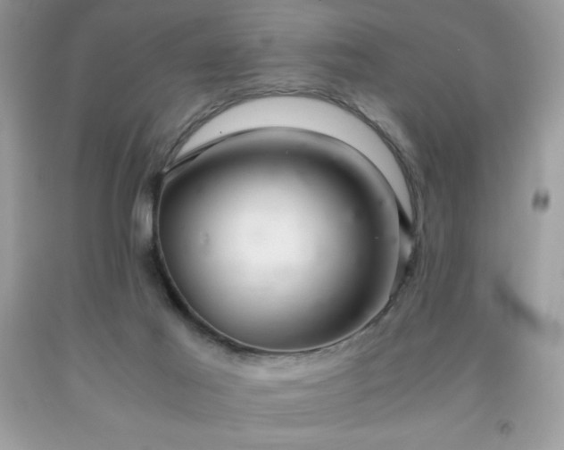 X0000091920021200709121548