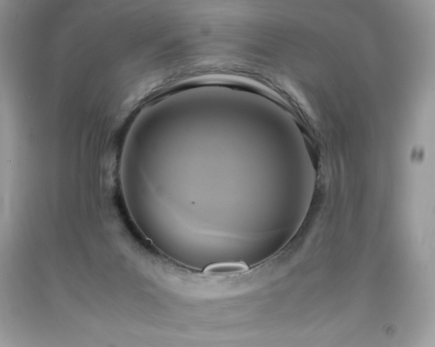 X0000091920023200709121548