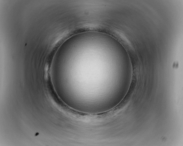 X0000091920024200709121547