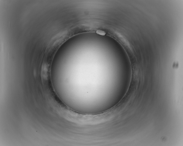 X0000091920026200709121547