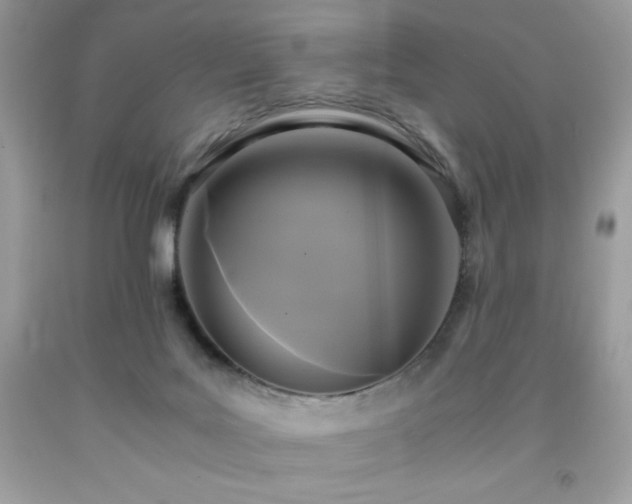 X0000091920027200709121547